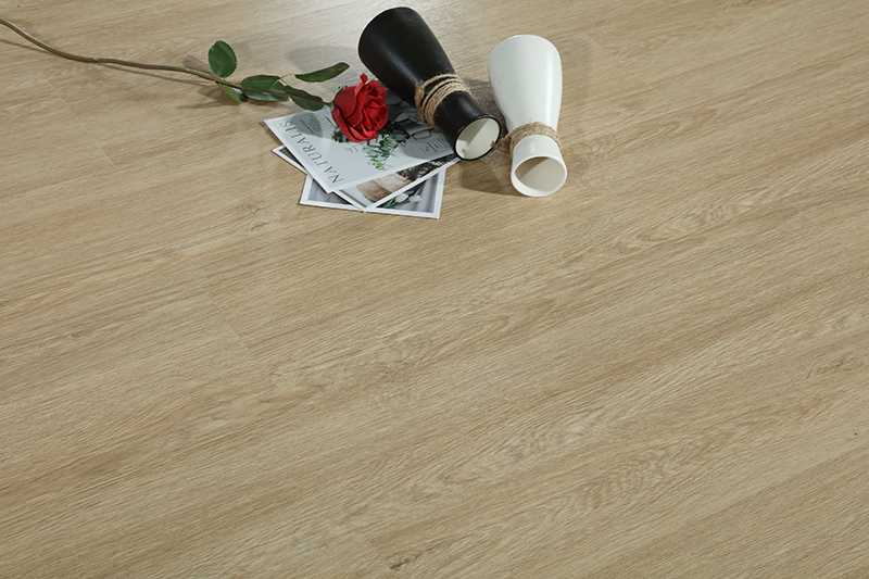SPC1Plancher